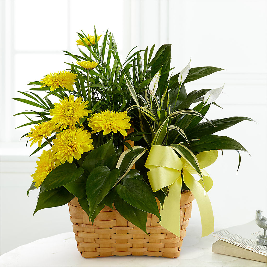 Loving Light Dishgarden – North Shore Weddings And Flowers, Kahuku HI