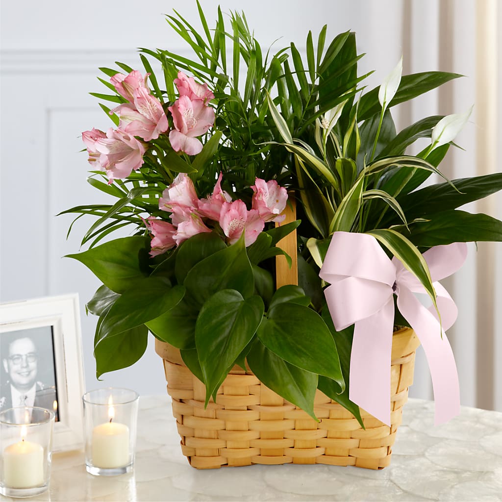 Living Spirit Dishgarden – North Shore Weddings And Flowers, Kahuku HI