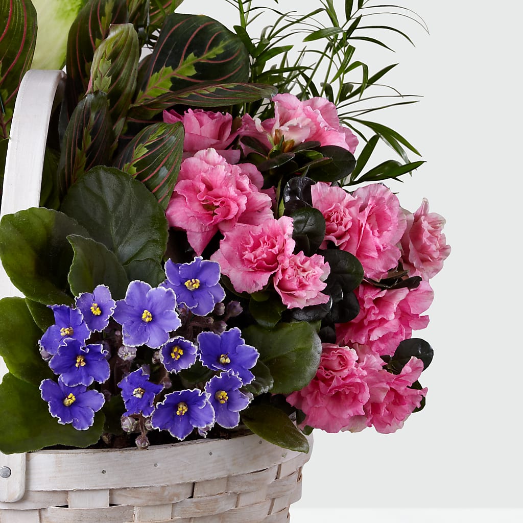 Peaceful Garden Planter – North Shore Weddings And Flowers, Kahuku HI