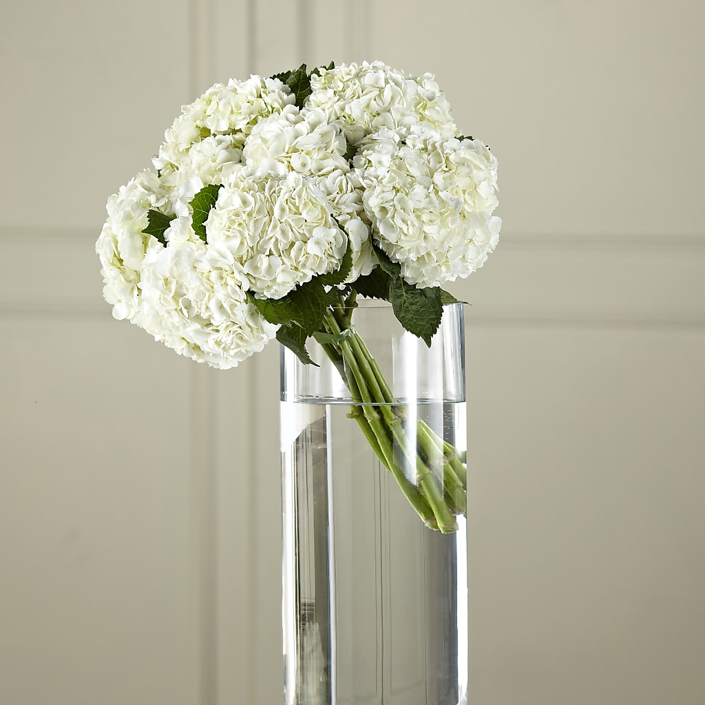 White Hydrangea Hand-Tied Bouquet – North Shore Weddings And Flowers, Kahuku HI