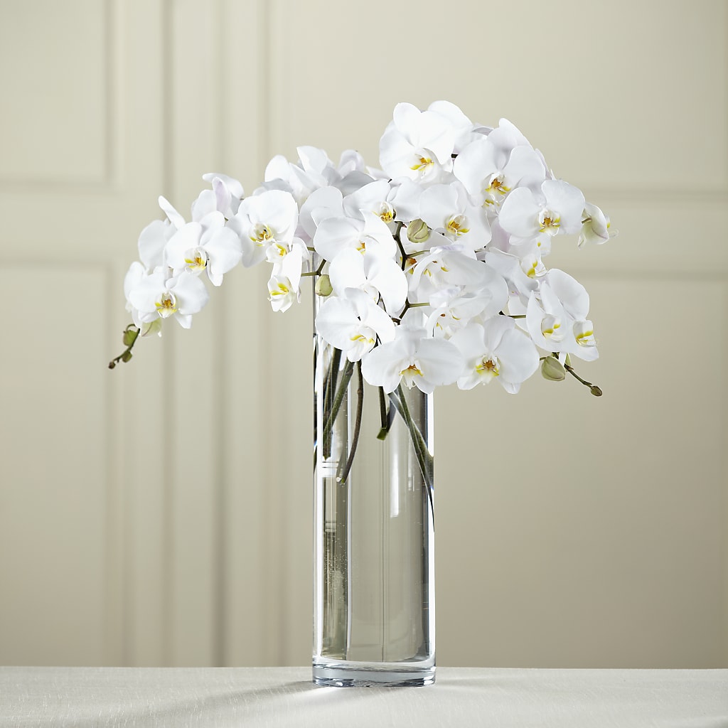 White Phalaenopsis Bouquet – North Shore Weddings And Flowers, Kahuku HI