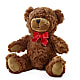 Adorable Plush Bear –  North Shore Weddings And Flowers, Kahuku HI