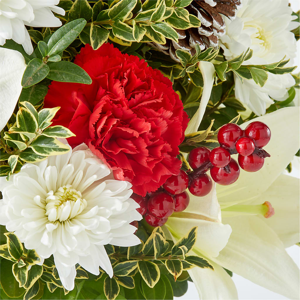 Festive Moments Tree –  North Shore Weddings And Flowers, Kahuku HI