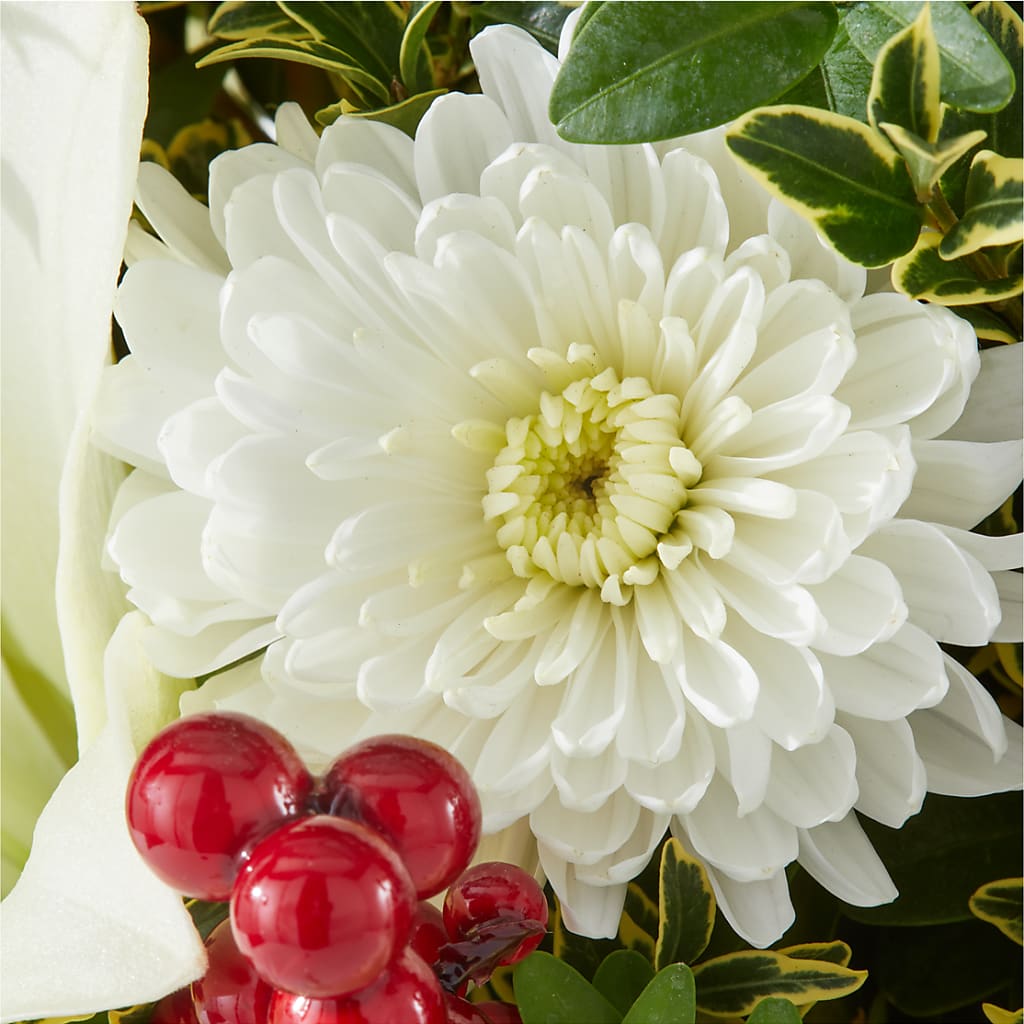 Festive Moments Tree –  North Shore Weddings And Flowers, Kahuku HI