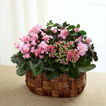 Pink Assortment –  North Shore Weddings And Flowers, Kahuku HI