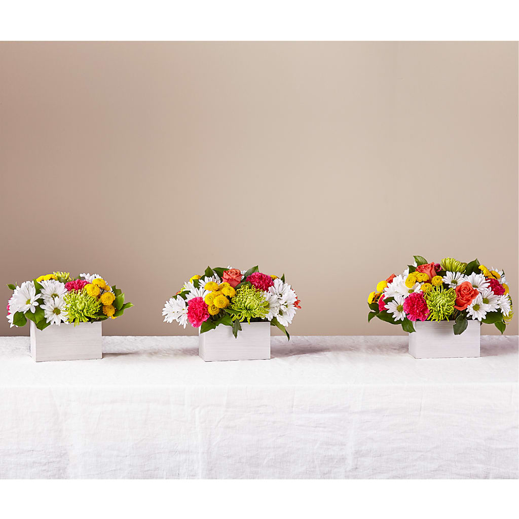 Sorbet Bouquet –  North Shore Weddings And Flowers, Kahuku HI