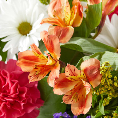 Oopsie Daisy Box Bouquet –  North Shore Weddings And Flowers, Kahuku HI