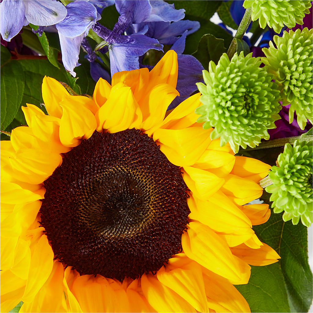 Catching Rays Bouquet –  North Shore Weddings And Flowers, Kahuku HI