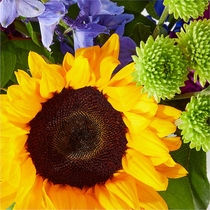 Catching Rays Bouquet –  North Shore Weddings And Flowers, Kahuku HI