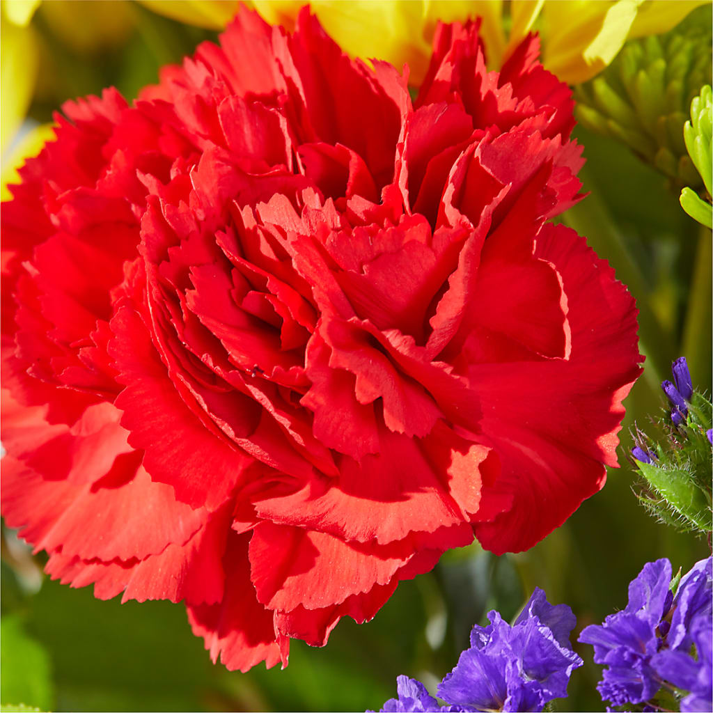 Brighter Days Bouquet –  North Shore Weddings And Flowers, Kahuku HI