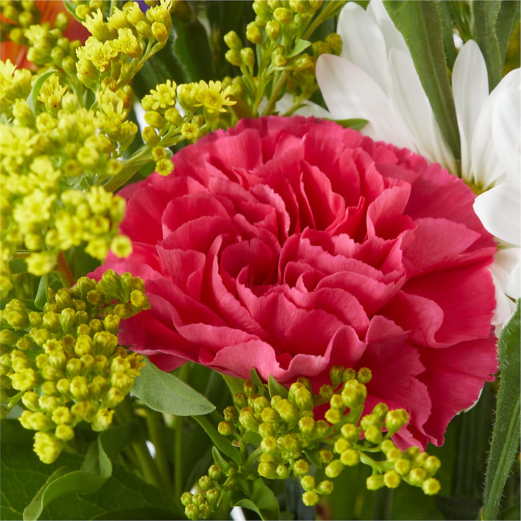 Oopsie Daisy Bouquet –  North Shore Weddings And Flowers, Kahuku HI