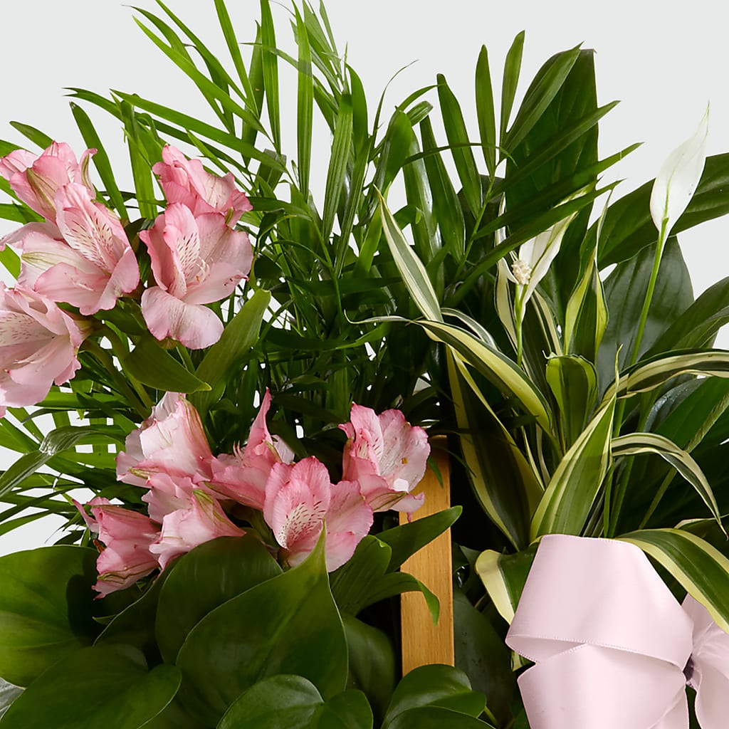 Living Spirit Dishgarden –  North Shore Weddings And Flowers, Kahuku HI