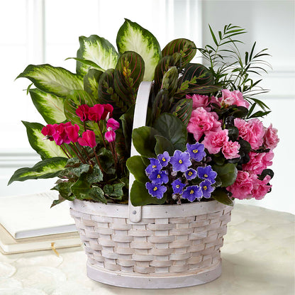 Peaceful Garden Planter –  North Shore Weddings And Flowers, Kahuku HI