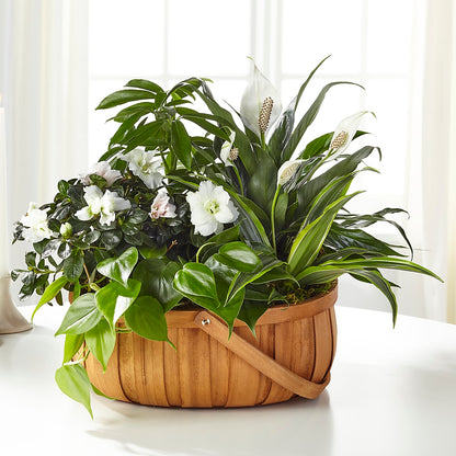 Serene Dishgarden –  North Shore Weddings And Flowers, Kahuku HI