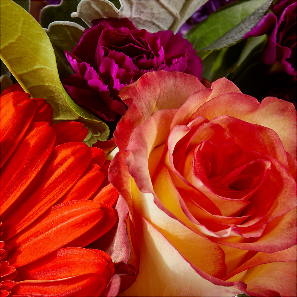 Sangria Bouquet –  North Shore Weddings And Flowers, Kahuku HI