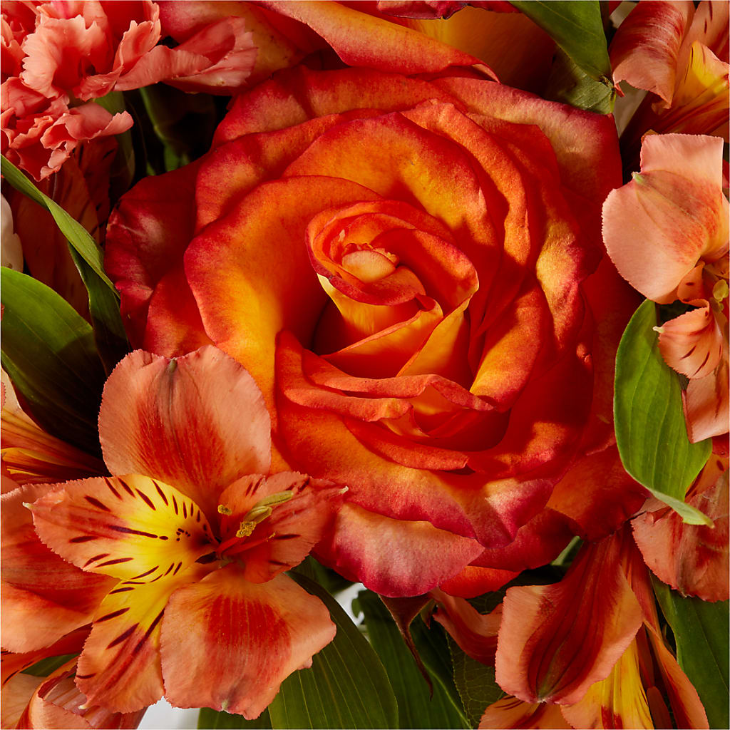 Apricot Glow Bouquet –  North Shore Weddings And Flowers, Kahuku HI