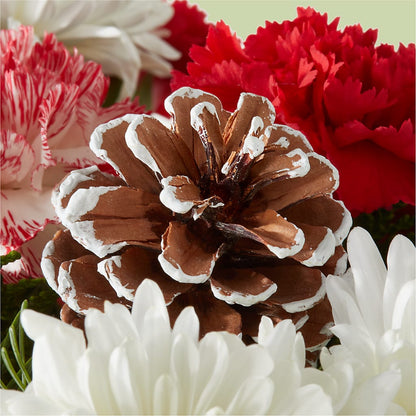 Candy Cane Lane Bouquet –  North Shore Weddings And Flowers, Kahuku HI