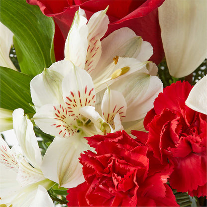 Holiday Season Bouquet –  North Shore Weddings And Flowers, Kahuku HI