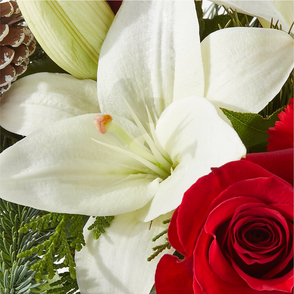Oh So Jolly Bouquet –  North Shore Weddings And Flowers, Kahuku HI