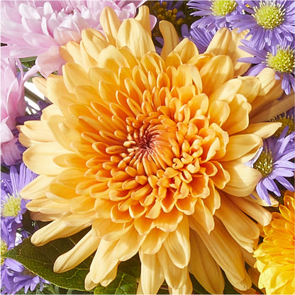 Countryside Bouquet –  North Shore Weddings And Flowers, Kahuku HI