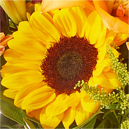 Seasons Change Bouquet –  North Shore Weddings And Flowers, Kahuku HI
