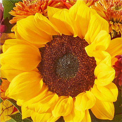 Sunny Side Bouquet –  North Shore Weddings And Flowers, Kahuku HI