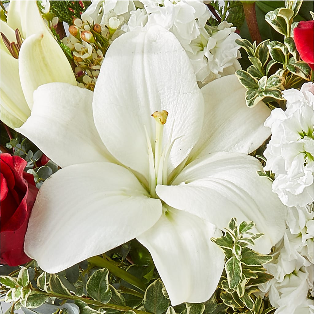 Twinkle Lights Bouquet –  North Shore Weddings And Flowers, Kahuku HI