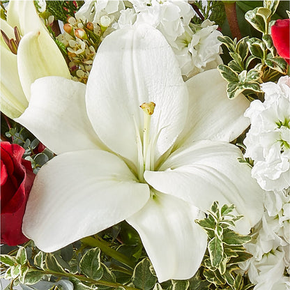 Twinkle Lights Bouquet –  North Shore Weddings And Flowers, Kahuku HI