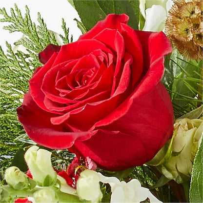 Deck the Halls Bouquet –  North Shore Weddings And Flowers, Kahuku HI