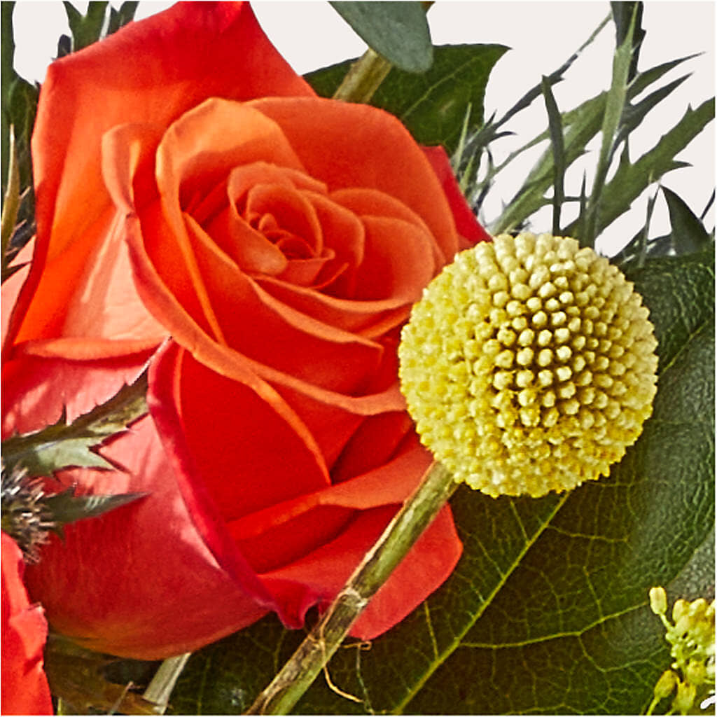 Disco Bouquet –  North Shore Weddings And Flowers, Kahuku HI