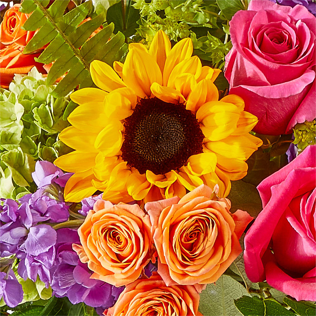 Vibrant Greetings Bouquet –  North Shore Weddings And Flowers, Kahuku HI