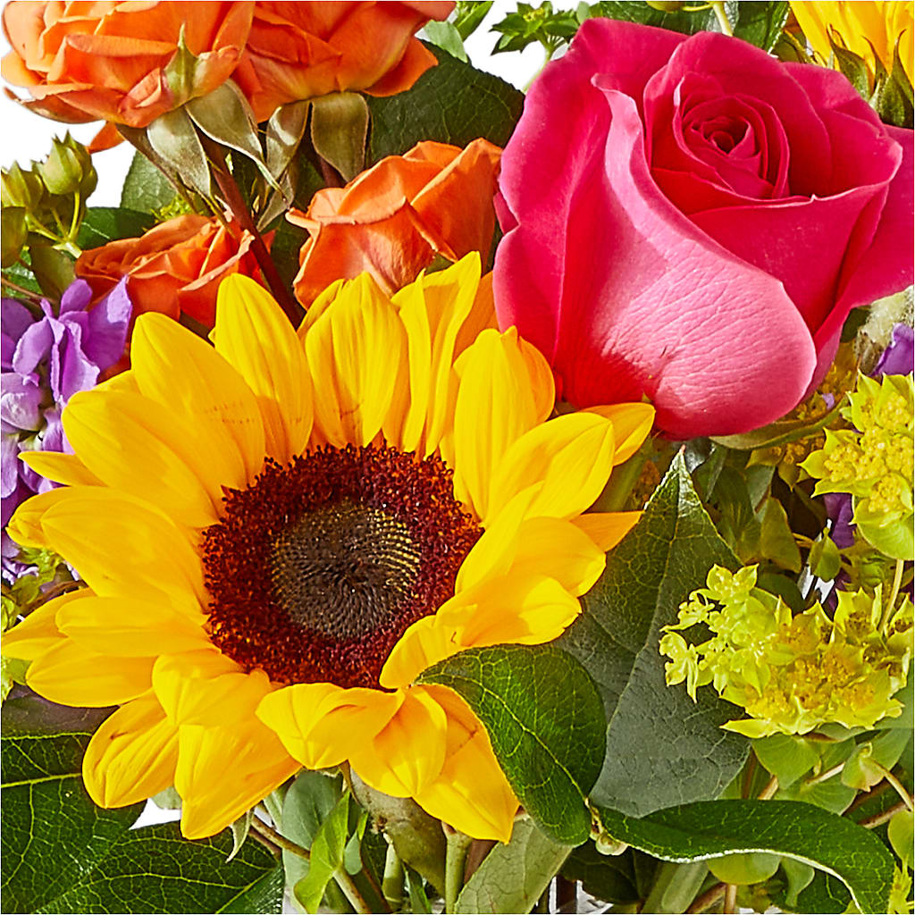 Vibrant Greetings Bouquet –  North Shore Weddings And Flowers, Kahuku HI