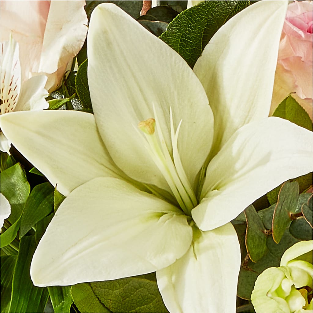 Ballet Slippers Bouquet –  North Shore Weddings And Flowers, Kahuku HI