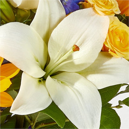Wonderfully Sunny Bouquet –  North Shore Weddings And Flowers, Kahuku HI