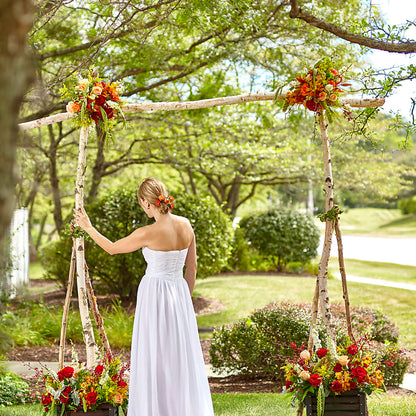 Arbor of Love Archway –  North Shore Weddings And Flowers, Kahuku HI