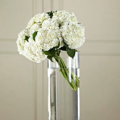 White Hydrangea Hand-Tied Bouquet –  North Shore Weddings And Flowers, Kahuku HI